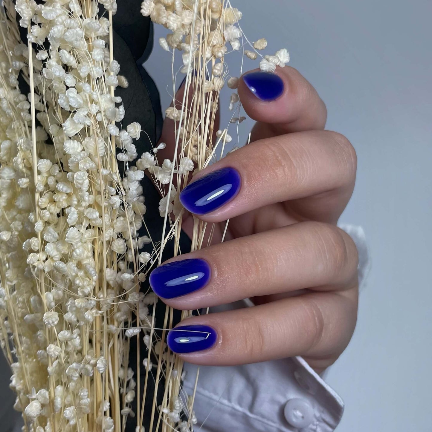 Builder Gel BBIO, Didier Lab, Blueberry, HEMA and TPO free, 15ml