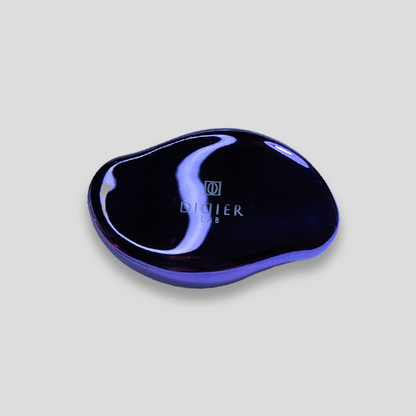 NANO GLASS FOOT FILE DIDIER LAB - PURPLE