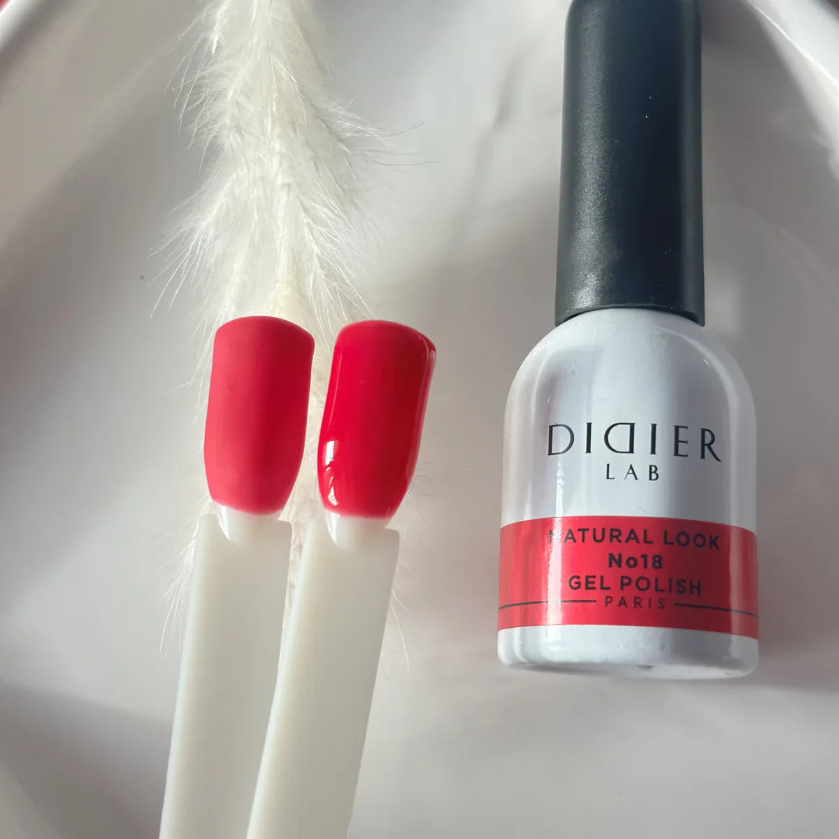 Gel Polish "Didier Lab", Natural Look, No.18